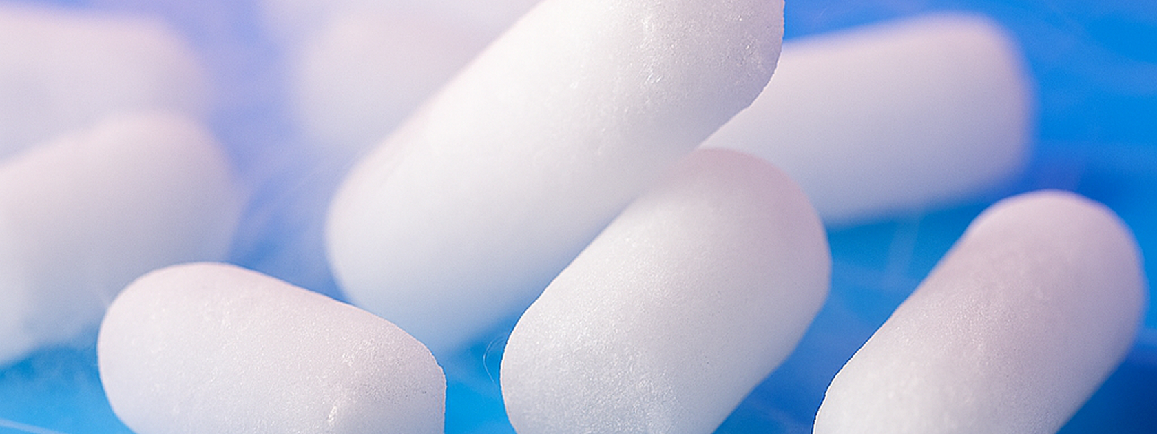 ghiaccio secco milano roma